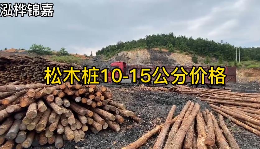 松木樁10-15cm價(jià)格視頻